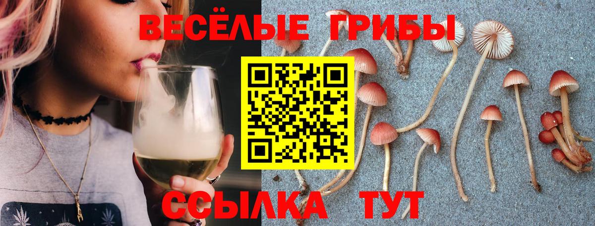 Псилоцибиновые грибы мухоморы Заречный